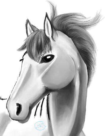 Horse Sketch (Digital)