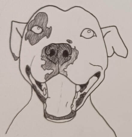 Puppy Portrait: Derby